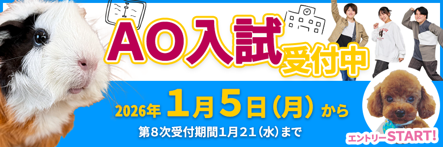 入学願書受付中！