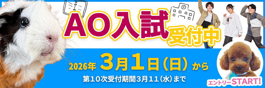 入学願書受付中！