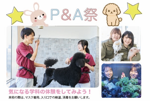 動物の専門学校はタイケン学園 トリマーを養成する東京の日本ペット アニマル専門学校